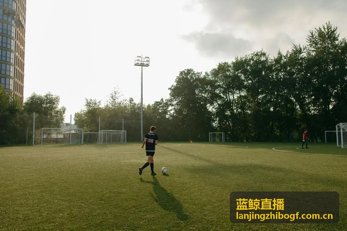 蓝鲸直播球队档案巴黎圣日耳曼队徽